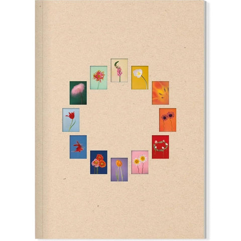 The Chromatics of Flowers