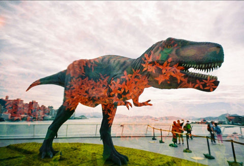 Cámara LomoApparat Gran Angular