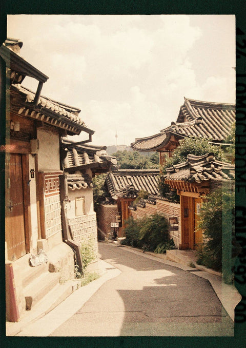 LomoChrome Color '92 Sun-kissed 110 ISO 400 3 Pack
