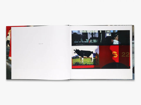 Alex Webb: Dislocations