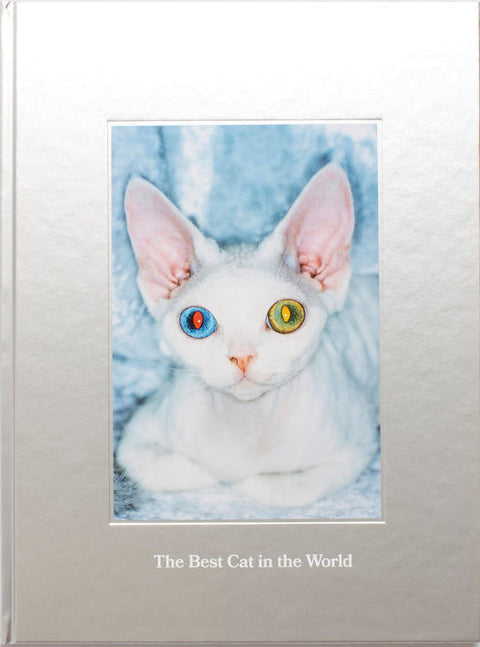 The Best Cat in the World