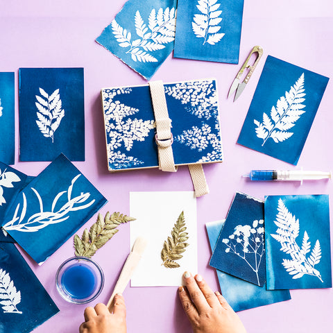 Botanic Cyanotype kit by Fabrica de Texturas