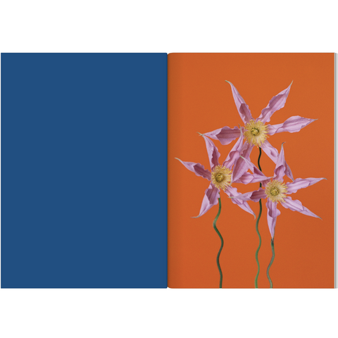 The Chromatics of Flowers