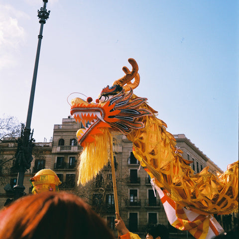 Traditional dragon dance performance with a large dragon puppet in an urban setting.