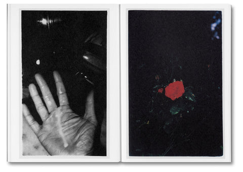 The Sound of Dirt and Beauty - Jesse Glazzard