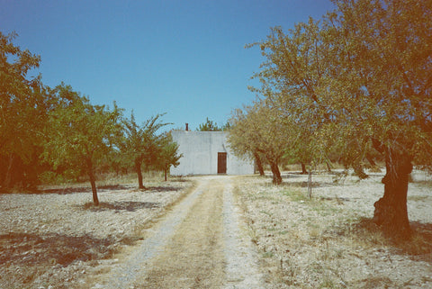 FAMILY PACK 400 speed - Solar, Jelly, Bubblegum, Pacific, Apollo & Stereo