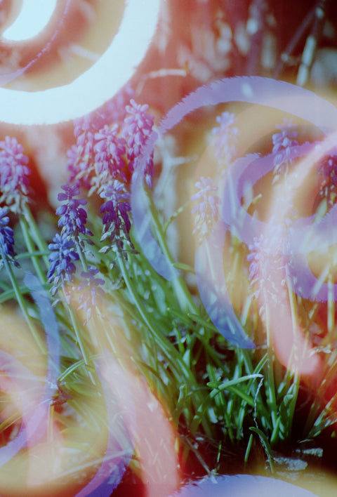 Hanalogital Spirals 35mm film