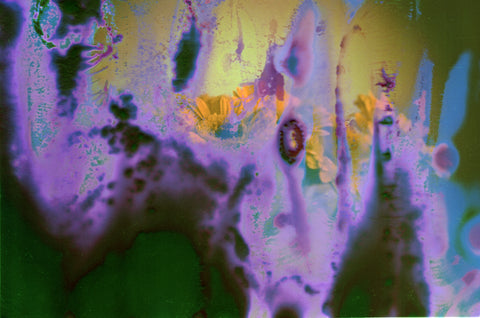 Hanalogital Charoite 35mm film