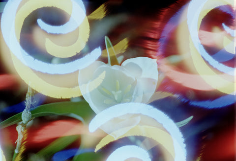 Hanalogital Spirals 35mm film