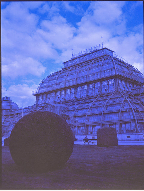 Revolog 460 120 film