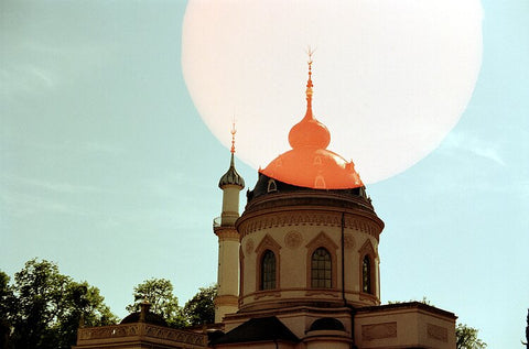 Hanalogital Halo 35mm film