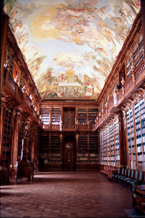 Kodak Ektar 100 36 exp.