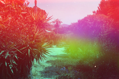 Psych Blues #2 ISO 400 24exp