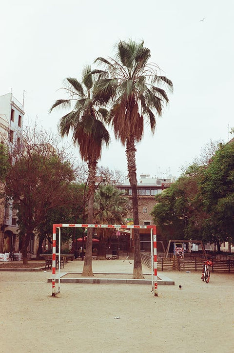 Werlisa Sport color film 35mm 24 exp. Dead stock 2014