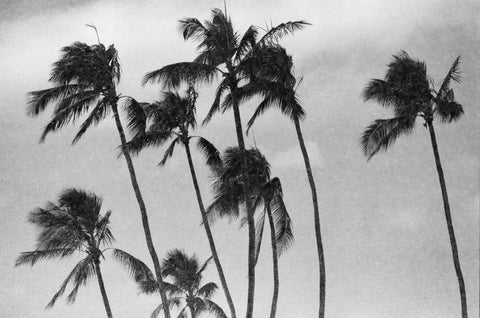 Paper - special effect film by REVOLOG