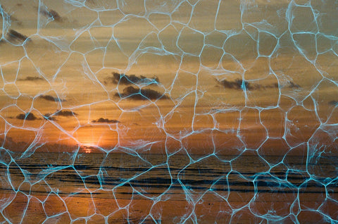 PLEXUS - película de efectos especiales de REVOLOG