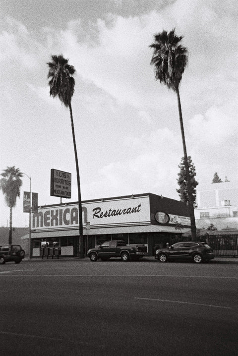 Ilford Delta 3200 35mm film