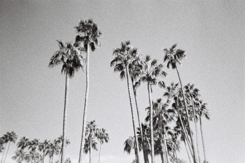 Ilford Delta 3200 35mm film