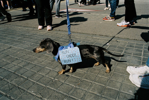 film bits 250D by dubblelab