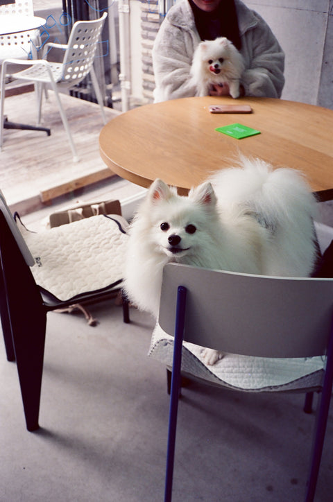 film bits 500T by dubblelab