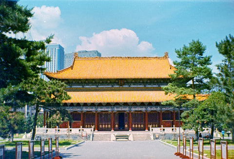 Fortuna C200 110 Color Film by Reflx