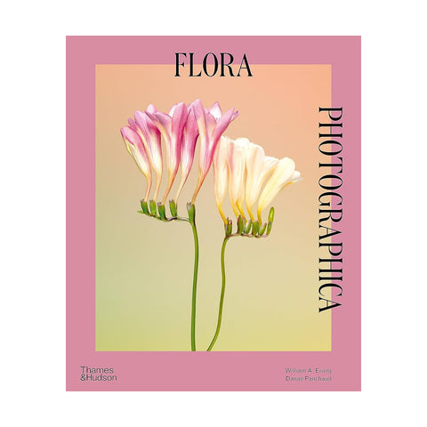 Flora Fotografia